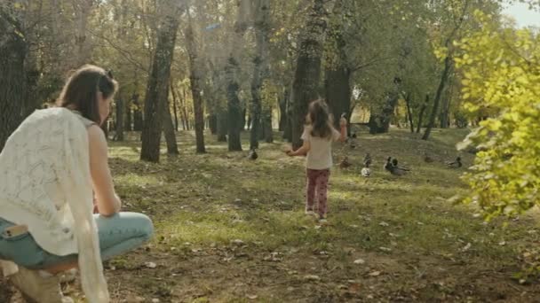 Petite Fille Nourrissant Les Canards Dans Parc Mère Ses Enfants — Video