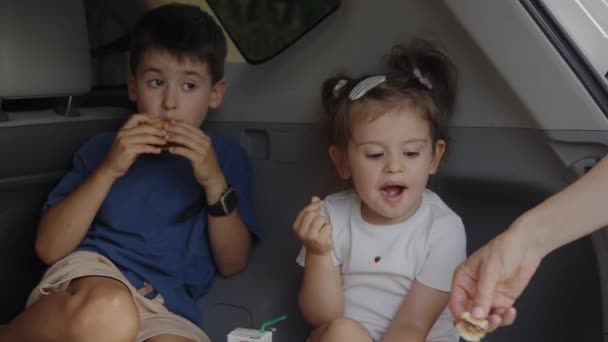 Två Kaukasiska Små Barn Som Har Rast Familjens Resa Och — Stockvideo
