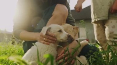 Parkta yavru köpekleriyle oynayıp oturan mutlu genç bir kadın. Hayvan sever kavramı