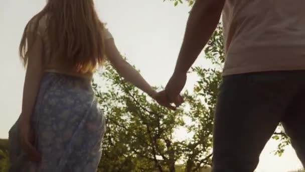 Back View Couple Lovers Holding Hands Walking Field Enjoying Outdoor — Stock Video