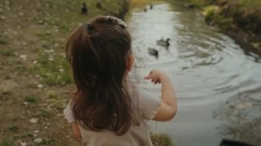 Parkta ördekleri besleyen küçük bir kız. Hayvanlarla ilgilenen çocuklar. Çocuklar için dışarıda eğlence.