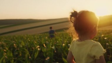 Mısır tarlasında yürüyen mutlu küçük kız, tarladaki hayatın tadını çıkarıyor. Doğa güzelliği. Aile açık hava yaşam tarzı. Özgürlük kavramı. Yazın tatlı küçük bir kız.