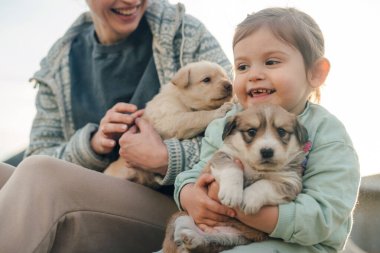 Genç anne ve küçük tatlı kız dışarıda köpeklerle oynarken eğleniyorlar. Evcil hayvan arkadaşlığı ve bakım konseptiyle mutlu bir aile..