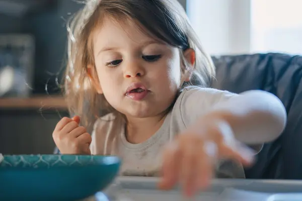 Милый Маленький Ребенок Миской Вкусного Йогурта Детском Стульчике Дома — стоковое фото