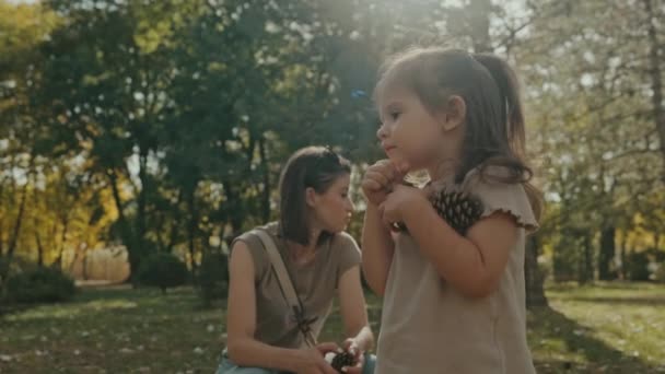 Küçük Kız Anne Bahçede Oynuyorlar Koni Topluyorlar Mutlu Anne Bir — Stok video