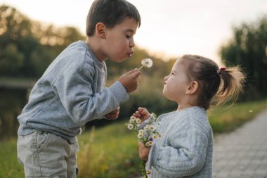 Okul çocuğu ve küçük kız bebek yazın doğada karahindiba çiçeklerine üflüyorlar. Eğleniyorum. İki aşkın ailesi, birlikte.