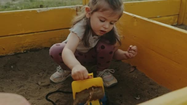 Little Happy Girl Playing Yellow Truck Toy Sandbox Yard Summer — Stock Video