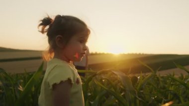 Gün batımında mısır tarlasında duran sarı tişörtlü küçük kız. Küçük kız eğleniyor. Mutlu çocukluk kavramı
