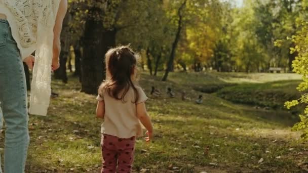 Visszapillantás Egy Fiatal Anyára Kislányára Akik Kacsákat Etetnek Nyári Napon — Stock videók