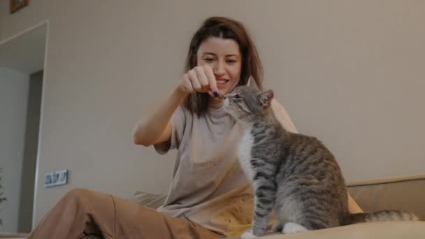 子猫に餌を与え ソファーに座って楽しい時間を過ごす白人女性 自宅でペットオーナー — ストック動画