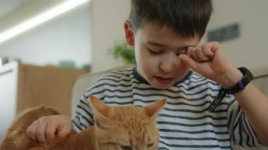 Küçük çocuk oturuyor ve kızıl kediyi okşuyor. Hayvan bakımı konsepti.