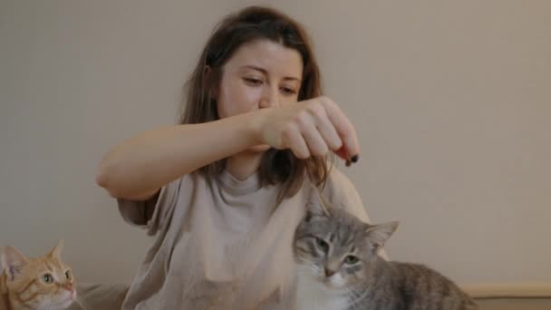 美しい若い女性が家で猫に餌を与えています 飼い主と家畜の関係について 愛らしい毛皮のキットの友人 — ストック動画