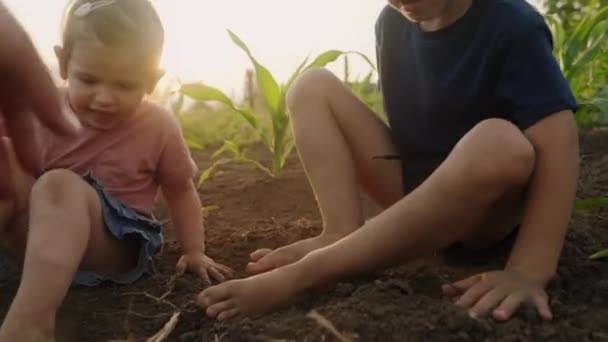 맨발로 정원에서 아이는 시골에서 옥외에서 신발을 않습니다 재미와 자유의 맨발의 — 비디오