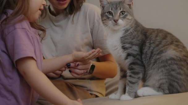 Merawat Ibu Dan Putri Lucu Memberi Makan Kucing Duduk Sofa — Stok Video