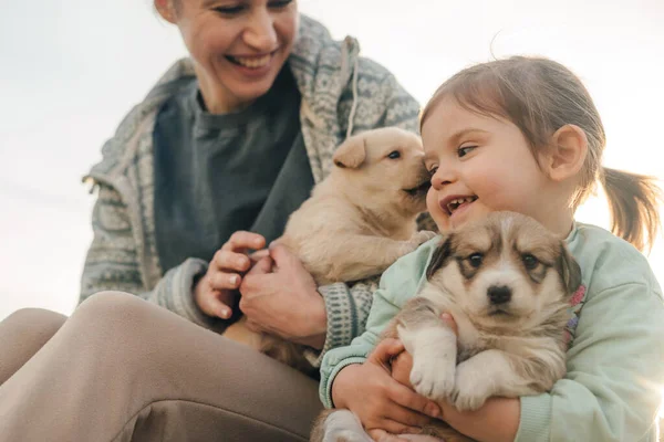 여자와 그녀의 초상화 그들의 강아지를 사랑과 보호소 돌보는 — 스톡 사진