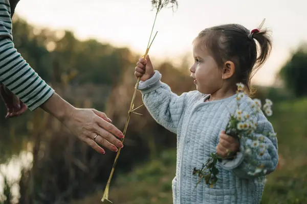 Tarladaki Sevimli Küçük Kız Yabani Çiçekler Topluyor Kırsal Alanda Sonbahar — Stok fotoğraf