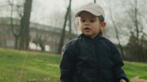 Nettes Kleines Mädchen Das Herbstpark Mit Blättern Spielt Ein Kindlicher — Stockvideo