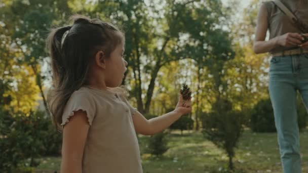 夏の公園で遊んでいるかわいい女の子と母親は 松のコーンを集めています 森の中の女性と娘 — ストック動画