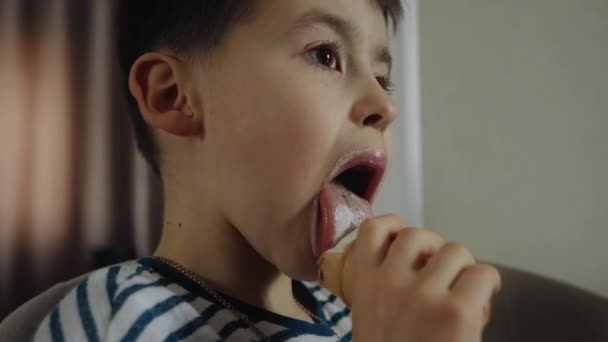 Hübscher Kleiner Junge Der Hause Ein Eis Isst Nettes Kind — Stockvideo