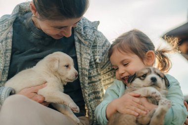 Mutlu anne ve kız iki yavru köpekle yeşil çimlerin üzerinde oturuyorlar. İnsanlar ve hayvanlar. Çocuklar Günü 'nde. Doğaya olan sevgi kavramı,