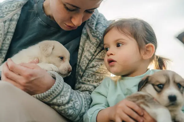 Mujer Hija Sosteniendo Perros Cachorros Sus Brazos Divirtiéndose Juntas Perro Fotos De Stock
