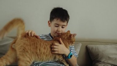 Komik çocuk evdeki kanepede kedi yavrusuyla oynuyor. Evdeki kanepede kedili bir çocuk. Hayvanlar için sevgi kavramı.