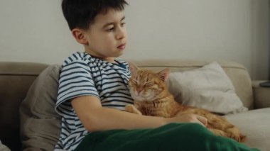 Çocuk kanepede dinlenirken kızıl kediyi okşuyor. Çocuklar ve evcil hayvanlar. Hayvanı olan küçük çocuk.