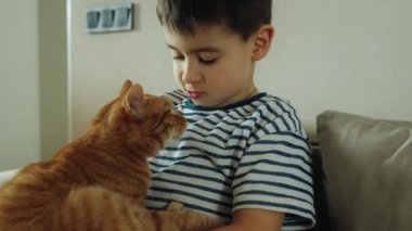 Anaokulu çocuğu kanepede oturup kızıl kedisiyle oynuyor. İnsan-kedi arkadaşlığı kavramı..