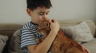 Evinde kırmızı kedisi olan sevimli bir çocuk. Yüksek kaliteli video
