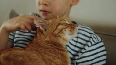 Çocuk kanepede otururken kedi kafasını eliyle okşuyor. Küçük çocuklar yatakta bir evcil hayvanı okşuyor, yakın plan.
