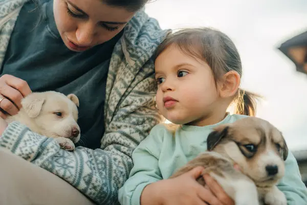 Linda Niña Madre Sosteniendo Sus Cachorros Aire Libre Concepto Niños Imagen De Stock