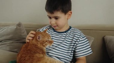 Genç çocuk kanepede oturuyor, kedilerin tüylerini hafifçe okşuyor. Kedi bıyıklarının burnuna sürtündüğünü hisseder.