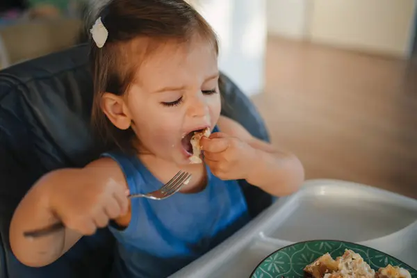 Copilul Micul Dejun Copil Mâncând Dimineața Nutriție Echilibrată Sănătoasă Pentru Imagini stoc fără drepturi de autor