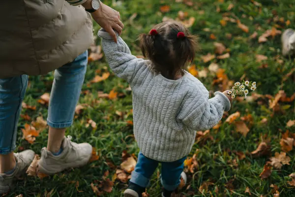 Mama Merge Natură Fiica Ținându Fiica Mână Plimbare Parcul Toamnă Fotografie de stoc