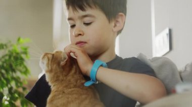 Genç çocuk mutlu bir şekilde kızıl bir kediyi kollarında tutuyor ve kedi arkadaşına karşı nazik bir jest yapıyor. Kedilerin kürkü, erkeklerin turuncu koluna uyuyor.
