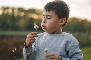 Parkta yakışıklı bir çocuk bahar vakti karahindiba üflüyor..