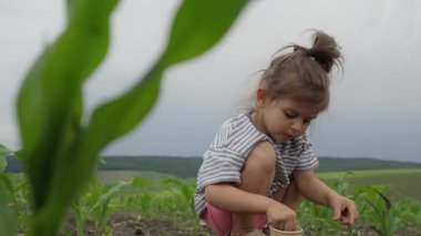 Çizgili tişört ve pembe şort giyen küçük bir kız elinde fincanla tarlaya dikiliyor. Doğa, çiftlik hayatı..