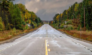 Algonquin Park, Kanada 60. Otoyol boyunca sonbahar renkleri