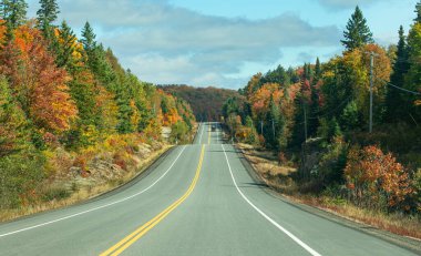 Algonquin Park, Kanada 60. Otoyol boyunca sonbahar renkleri