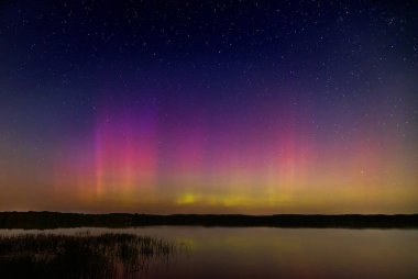 Kuzey Işıkları (Aurora Borealis), Ottawa, Kanada yakınlarındaki güzel ve sıcak bir yaz gecesinde gökyüzünü aydınlatıyor.
