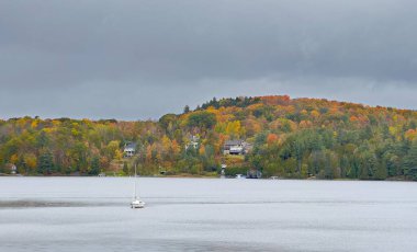 Gatineau nehri boyunca sonbahar renkleri su, Quebec, Kanada 'ya yansıyor.