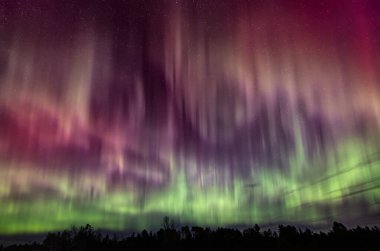 Northern Lights (Aurora Borealis) light up the sky on a beautiful cold autumn night near Ottawa, Canada Oct 7, 2024