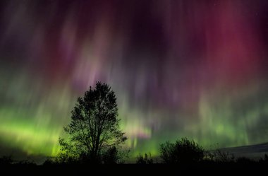 Northern Lights (Aurora Borealis) light up the sky on a beautiful cold autumn night near Ottawa, Canada Oct 7, 2024