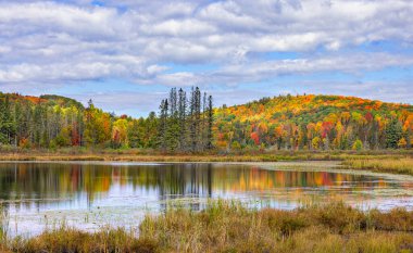 Sonbahar renklerinde ağaçlarla dolu renkli dağ Thorne, Quebec, Kanada 'daki küçük bir göle yansıyor.