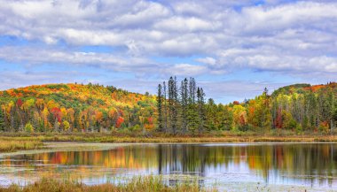 Colourful mountain with trees in full autumn colours along the backroads in Quebec, Canada