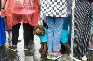 RIGA, LATVIA. 2 Temmuz 2023. Festival katılımcıları geçidi. XXVII ULUSAL LATVIAN ŞARKI VE XVII DANS Şenliği
