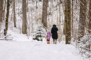 KRIMULDA, LATVIA. 26 Kasım 2023. Seçili odak fotoğrafı. Çocuk annesiyle karlı ormanda yürüyor..