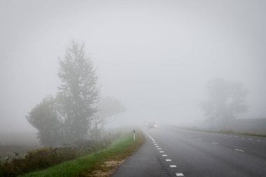 Seçici odak fotoğrafı. Sisli bir sabah. Letonya 'da yoğun sis görüldü.