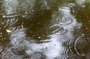 Seçici odak fotoğrafı. Su birikintisindeki yağmur damlaları.