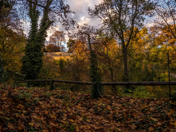 布拉格城堡下狭窄街道的五彩缤纷的秋色 布拉格公园秋天的色彩 捷克共和国布拉格 — 图库照片